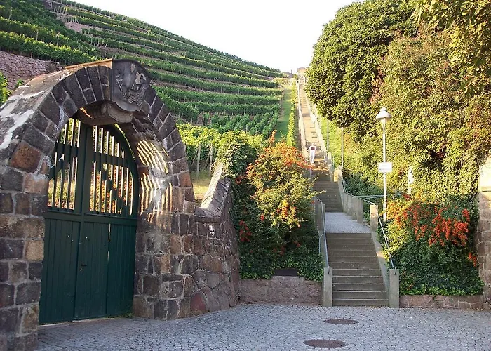 Hotel Radisson Blu Park & Conference Centre Dresden