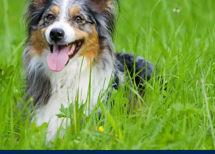 Radisson Blu Park & Conference Centre 4*