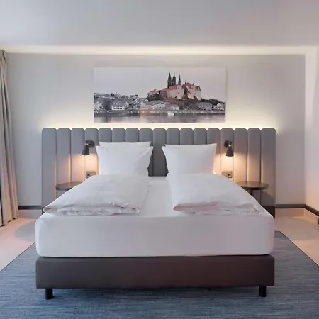 Отель Radisson Blu Park & Conference Centre 4*