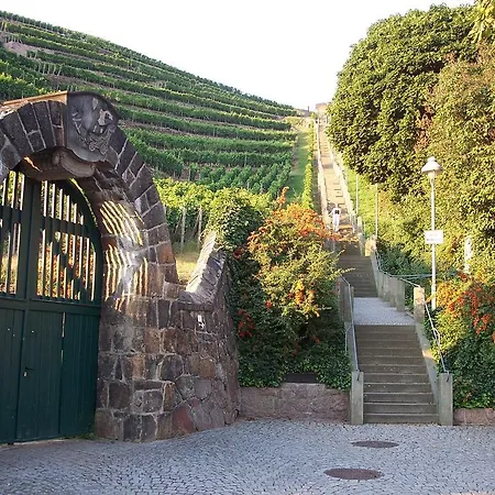 Hotel Radisson Blu Park & Conference Centre Dresden