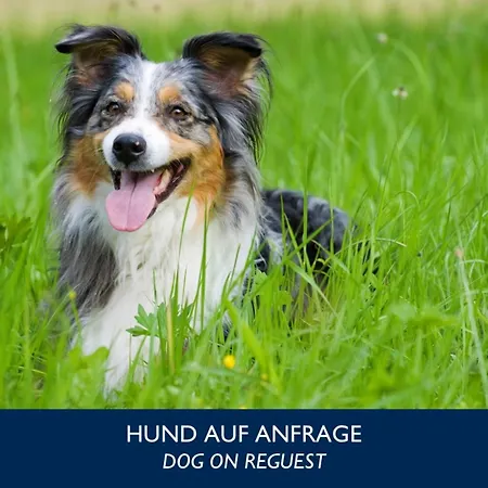 Radisson Blu Park & Conference Centre 4*