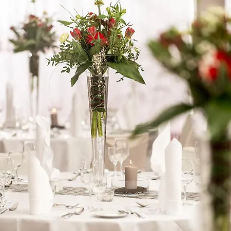 Radisson Blu Park & Conference Centre Hotel 4*